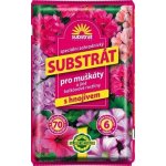 Forestina Substrát pro muškáty a balkonové rostliny 70 l – Hledejceny.cz