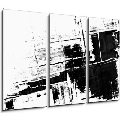 Obraz 3D třídílný - 105 x 70 cm - An abstract paint splatter frame in black and white Abstraktní barvy postříkání rámu v černé a bílé – Zboží Mobilmania