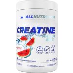 All Nutrition CREATINE Muscle Max 500 g – Hledejceny.cz