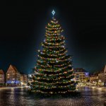DECOLED LED světelná sada na vánoční stromy vysoké 21-23 m barevná – Hledejceny.cz