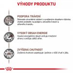 Royal Canin Veterinary Diet Cat Gastrointestinal 2 kg – Zboží Dáma