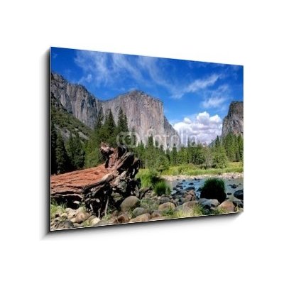 Obraz 1D - 100 x 70 cm - El Capitan View in Yosemite Nation Park El Capitan výhled v národním parku Yosemite