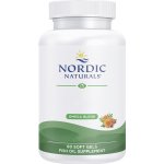 Nordic Naturals Podpora zraku, 60 softgel kapslí – Hledejceny.cz