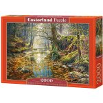 Castorland Podzimní les 200757 2000 dílků – Zboží Dáma