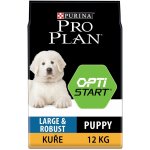 Purina Pro Plan Large Puppy Robust Healthy Start kuře 12 kg – Zboží Mobilmania