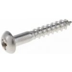 V5244 4x30 ZN TORX Vrut do dřeva s půlkulatou hlavou a TORX drážkou, zinek – Zboží Mobilmania