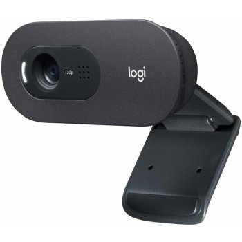 Logitech C505 HD Webcam