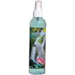 Rainforest Mist 240 ml – Zboží Dáma