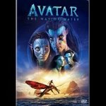 Avatar 2: The Way of Water DVD – Zboží Dáma