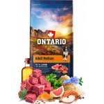 Ontario Adult Medium Lamb & Rice 12 kg – Hledejceny.cz