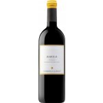 Domenico Clerico Barolo del Comune di Monforte d'Alba 2019 Červené 14,5% 0,75 l (holá láhev) – Hledejceny.cz