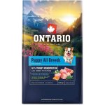 Ontario Puppy & Junior All Breeds Monoprotein Turkey & Sweet Potatoes 0,75 kg – Hledejceny.cz
