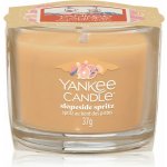 Yankee Candle Slopeside Spritz 37 g – Zboží Dáma