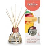 Bolsius aroma difuzér mango 45 ml – Hledejceny.cz