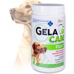 Orling Gelacan Fast 500 g – Zboží Dáma