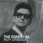 Orbison Roy - Essential Roy Orbison CD – Hledejceny.cz
