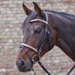 Star Uzdečka Rosegold – Hledejceny.cz