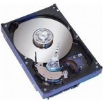 Seagate Constellation ES.2 2TB, 3,5'', SATA/600, 7200rpm, 64MB, ST2000NM0011 – Hledejceny.cz