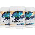 Golden Nature Hydrolyzovaný Rybí kolagen s acerolou borůvka 2+1 450 g – Hledejceny.cz