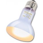 Repti Zoo Daylight basking spot 35 W – Zboží Mobilmania