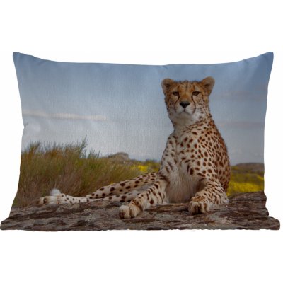 MuchoWow Vnější polštář Leopard Zvířata Příroda 50x30