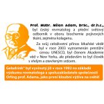 Orling Geladrink jahoda 280 g – Hledejceny.cz