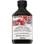 Davines Naturaltech Energizing Shampoo 250 ml – Hledejceny.cz