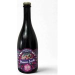 Pivovar Louka FRESH Breakfast 0,8 12 4,7 % 0,7 l (sklo) – Zboží Dáma