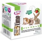 Lolo Pets Kámen pro hlodavce jablko 40 g – Zboží Dáma