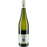 Toni Jost Devon Ryzlink rýnský suché bílé 2021 13,5% 0,75 l (holá láhev) – Hledejceny.cz