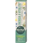 Revital Botanicals Energie a vitalita 20 eff.tablet – Hledejceny.cz