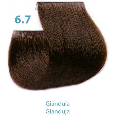 Silky Dressing barva na vlasy 6.7 100 ml