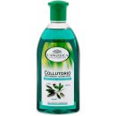 L´Angelica ústní výplach Herbal Extracts 500 ml