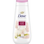 Dove sprchový gel Advanced Care Winter 225 ml – Sleviste.cz