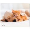 Podložky pod myš Speed Link SILK Dog & Cat, 23 × 19 cm (SL-620000-DOG)