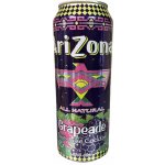 Arizona Grapeade 0,65 l – Zbozi.Blesk.cz