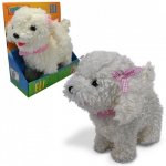 Sparkys Pejsek bílý štěněčí slečna Eli – Sleviste.cz