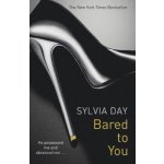 BARED TO YOU CROSSFIRE, BOOK 1 DAY, S. – Hledejceny.cz