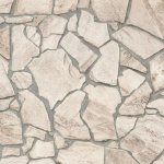 A.S. Création 927323 Vliesová tapeta na zeď Woods and Stone rozměry 0,53 x 10,05 m – Hledejceny.cz