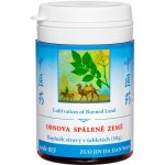 TCM Bohemia 015 Obnova spálené země 200 kuliček – Hledejceny.cz