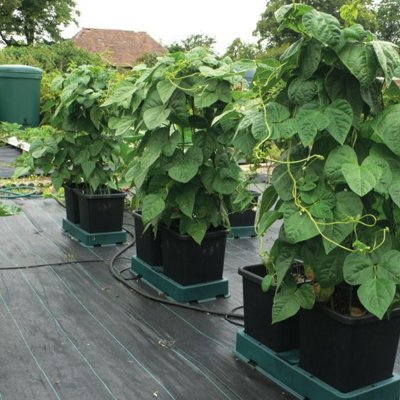 Autopot Easy2grow Kit s 24 květináči, bez Flexitank – Hledejceny.cz