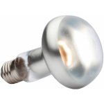 Hagen Exo Terra Intense Basking Spot 100 W – Zboží Dáma