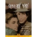 Nebeské dny DVD