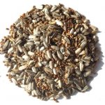 Avest Směs Střední papoušek 10 20 kg – Zboží Dáma