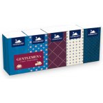 Harmony Gentlemens papírové kapesníky parfémované 3-vrstvé 10x10 ks – Zboží Dáma