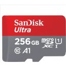 Sandisk MicroSDXC UHS-I U1 256 GB SDSQUA4-256G-GN6MA