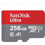 Sandisk MicroSDXC UHS-I U1 256 GB SDSQUA4-256G-GN6MA – Sleviste.cz