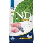 N&D Pumpkin Dog Adult Mini Lamb&Bueberry 2,5 kg – Hledejceny.cz