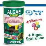 Prodac Algae Wafers 100 ml – Zboží Dáma