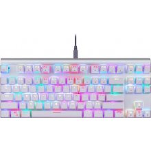 Motospeed CK101 RGB White